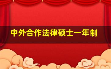 中外合作法律硕士一年制