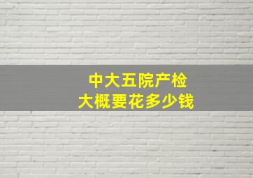 中大五院产检大概要花多少钱