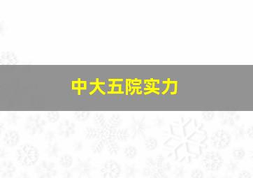 中大五院实力