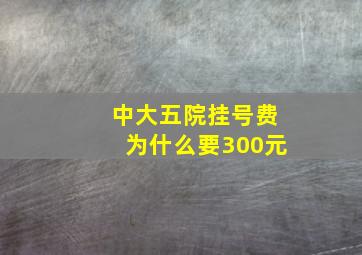 中大五院挂号费为什么要300元