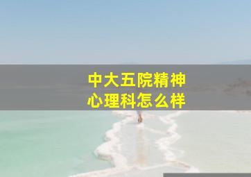 中大五院精神心理科怎么样