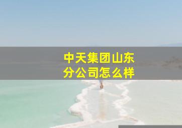 中天集团山东分公司怎么样