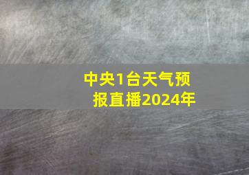 中央1台天气预报直播2024年