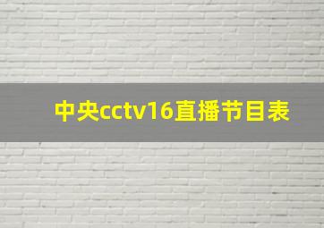 中央cctv16直播节目表