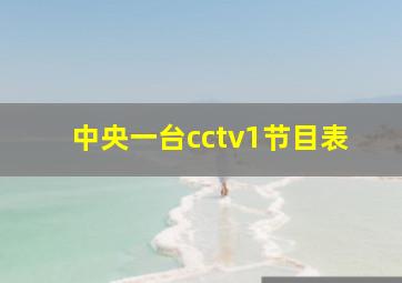 中央一台cctv1节目表