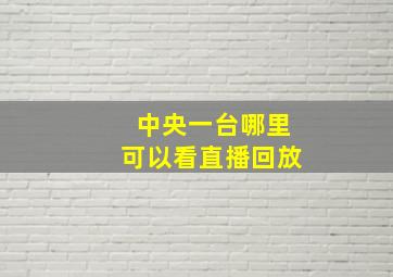 中央一台哪里可以看直播回放