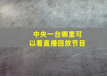 中央一台哪里可以看直播回放节目