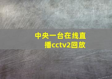 中央一台在线直播cctv2回放