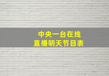 中央一台在线直播明天节目表