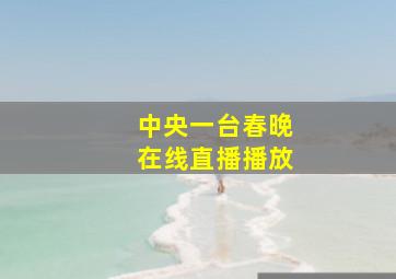 中央一台春晚在线直播播放