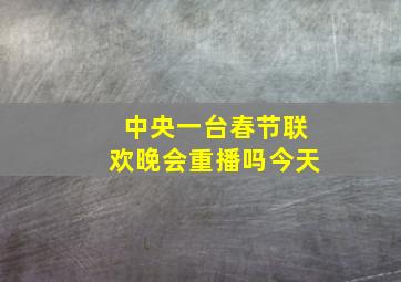 中央一台春节联欢晚会重播吗今天