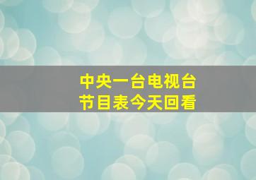 中央一台电视台节目表今天回看