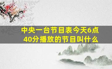 中央一台节目表今天6点40分播放的节目叫什么