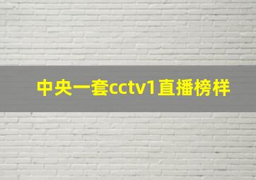 中央一套cctv1直播榜样