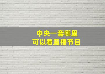 中央一套哪里可以看直播节目