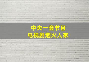 中央一套节目电视剧烟火人家