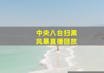 中央八台扫黑风暴直播回放