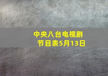 中央八台电视剧节目表5月13日