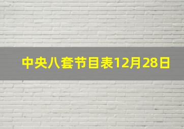 中央八套节目表12月28日