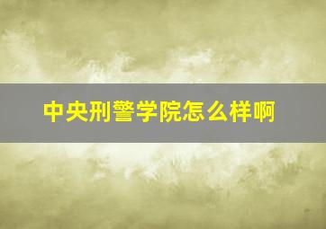 中央刑警学院怎么样啊