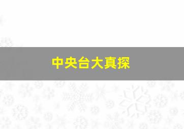 中央台大真探