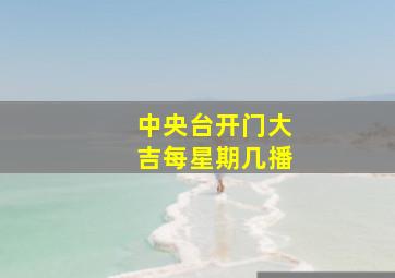 中央台开门大吉每星期几播