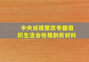 中央巡视整改专题组织生活会检视剖析材料