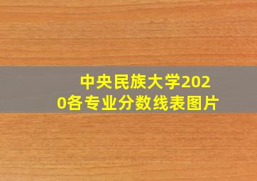 中央民族大学2020各专业分数线表图片