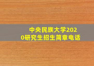 中央民族大学2020研究生招生简章电话