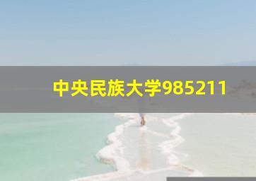 中央民族大学985211