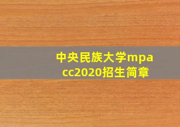 中央民族大学mpacc2020招生简章