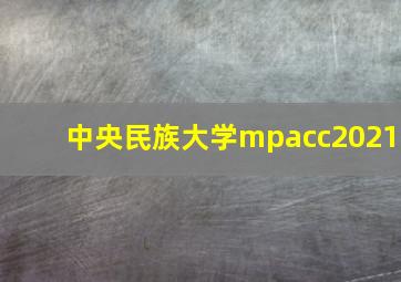 中央民族大学mpacc2021