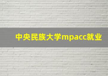 中央民族大学mpacc就业