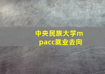 中央民族大学mpacc就业去向