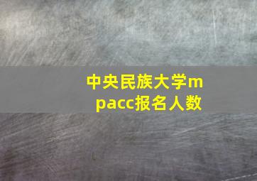 中央民族大学mpacc报名人数