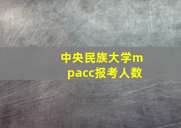 中央民族大学mpacc报考人数