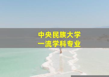 中央民族大学一流学科专业