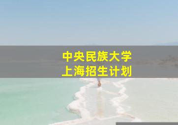 中央民族大学上海招生计划