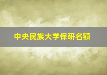 中央民族大学保研名额