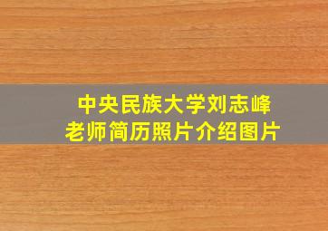 中央民族大学刘志峰老师简历照片介绍图片