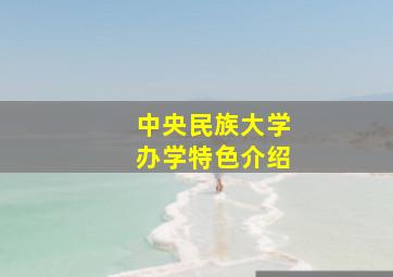 中央民族大学办学特色介绍