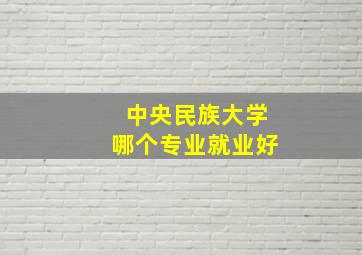 中央民族大学哪个专业就业好