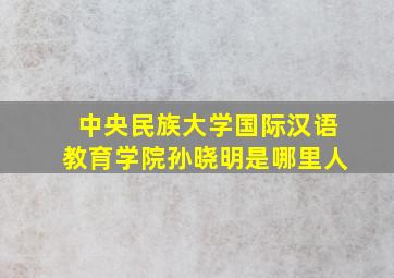 中央民族大学国际汉语教育学院孙晓明是哪里人