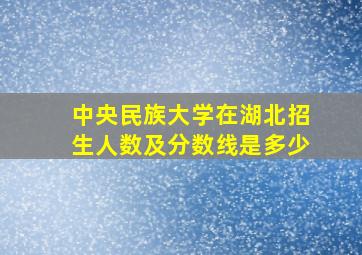 中央民族大学在湖北招生人数及分数线是多少