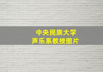 中央民族大学声乐系教授图片