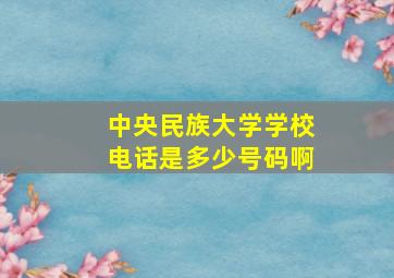 中央民族大学学校电话是多少号码啊