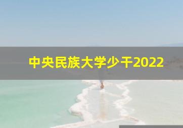 中央民族大学少干2022