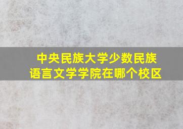 中央民族大学少数民族语言文学学院在哪个校区