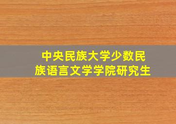 中央民族大学少数民族语言文学学院研究生