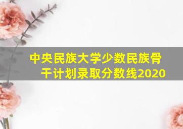 中央民族大学少数民族骨干计划录取分数线2020